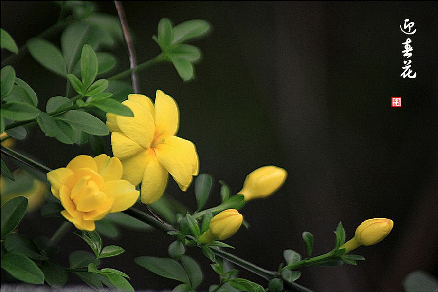 峻磊LeiLei的个人主页（封面预览） - 主页封面设置 - 站酷设计师峻磊LeiLei原创素材 - 站酷ZCOOL