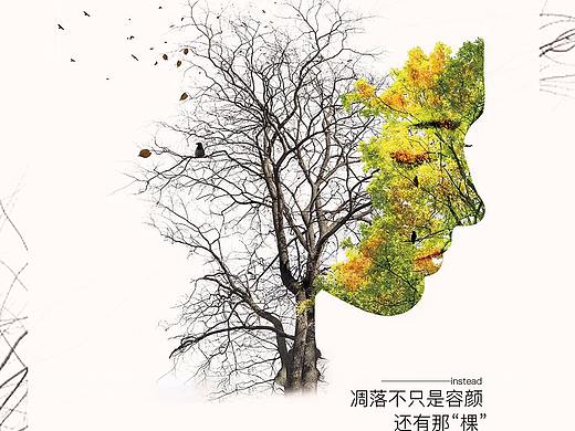 封面书籍