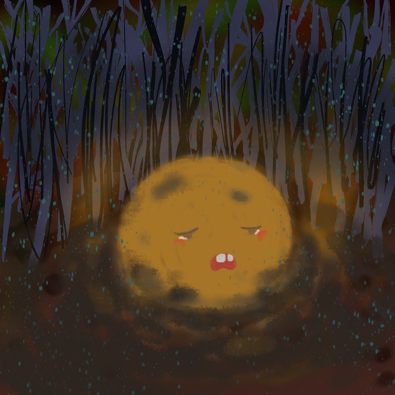 这是一个《太阳雨》的故事