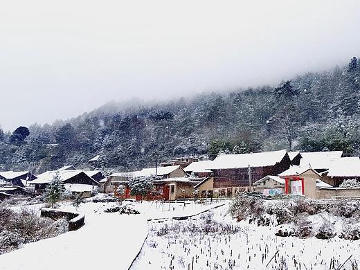 手机摄影练习(雪)
