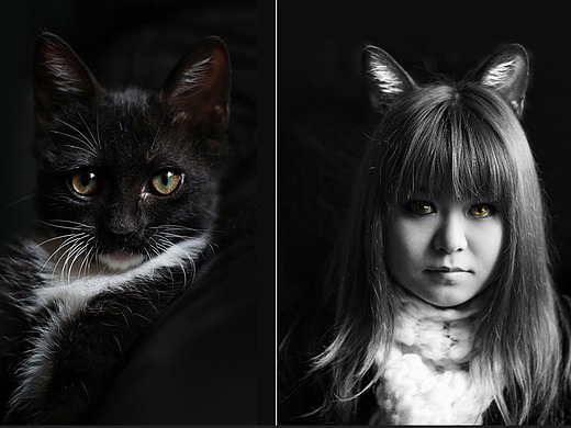 当猫变成人#夏日创作季