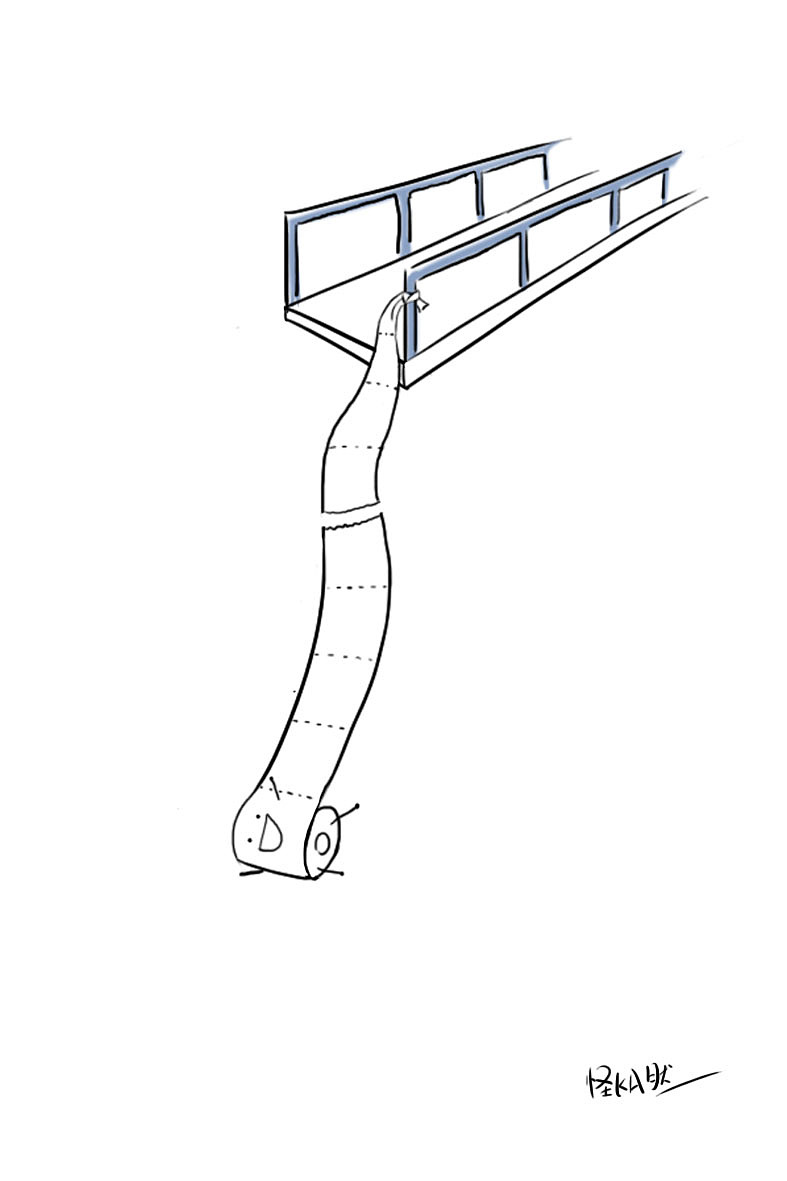 Bungee Jumping
<br>
