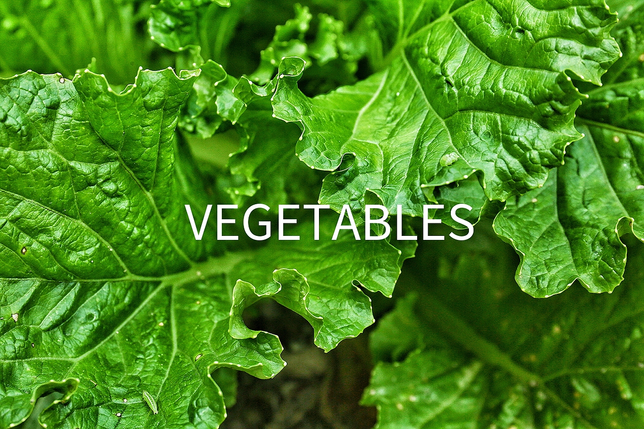 原创作品：个人自由摄影作品/蔬菜/静物/后期