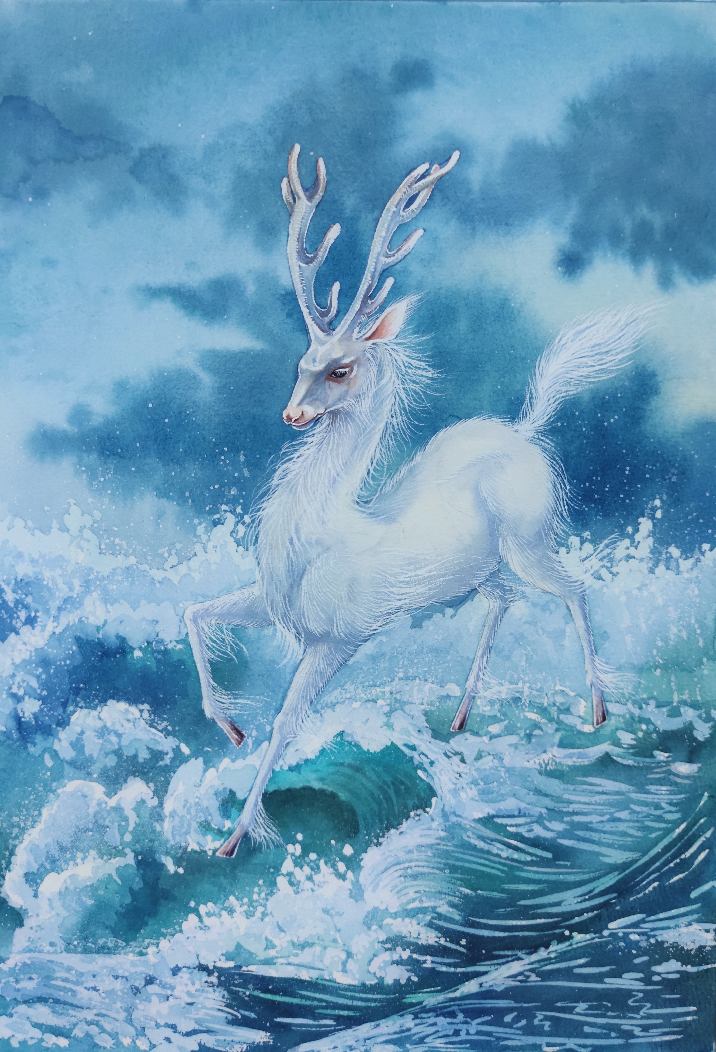 水彩 白鹿