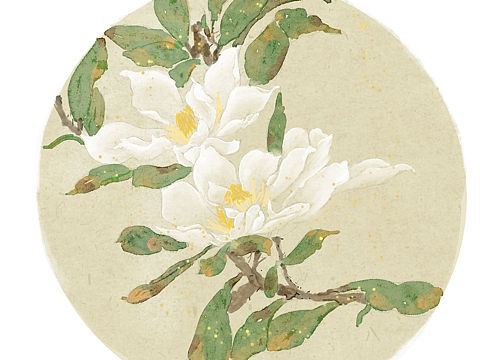 原创国风插画—国画花卉系列01