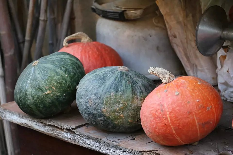 花儿（图ZMzUyOTcwMzI=） - 产品摄影 - 站酷设计师柠檬乳酸菌原创素材 - 站酷ZCOOL