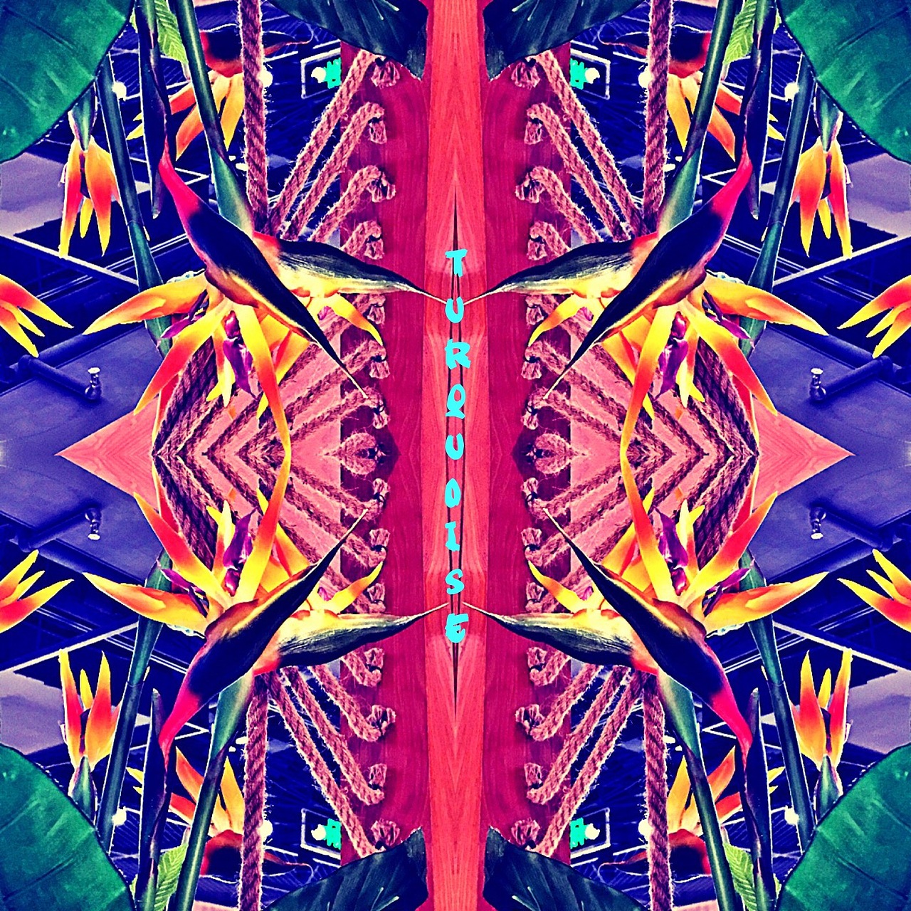 喜欢随拍的我....然后把这些图变成自己喜欢的感觉…