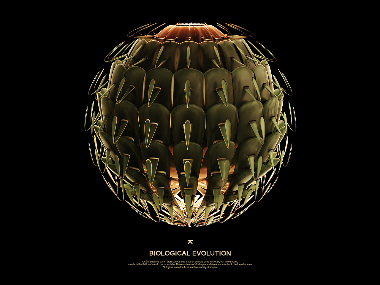 《生物进化Evolution》（图ZMTgwNjgwNTEy） - 人物/生物 - 站酷设计师琉璃小姐姐原创素材 - 站酷ZCOOL