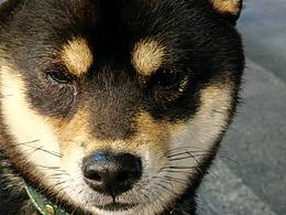 大广赛陪跑作品