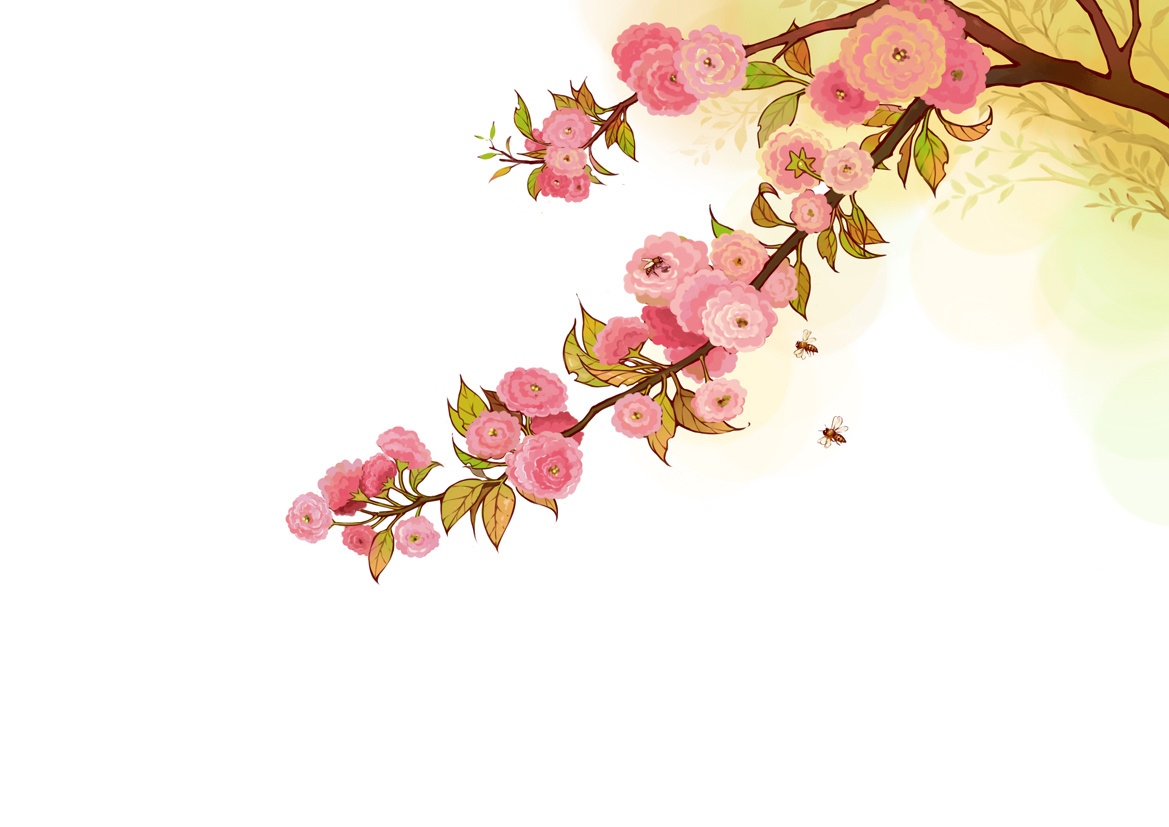 一朵漂亮的樱花插图图片素材-编号32987469-图行天下