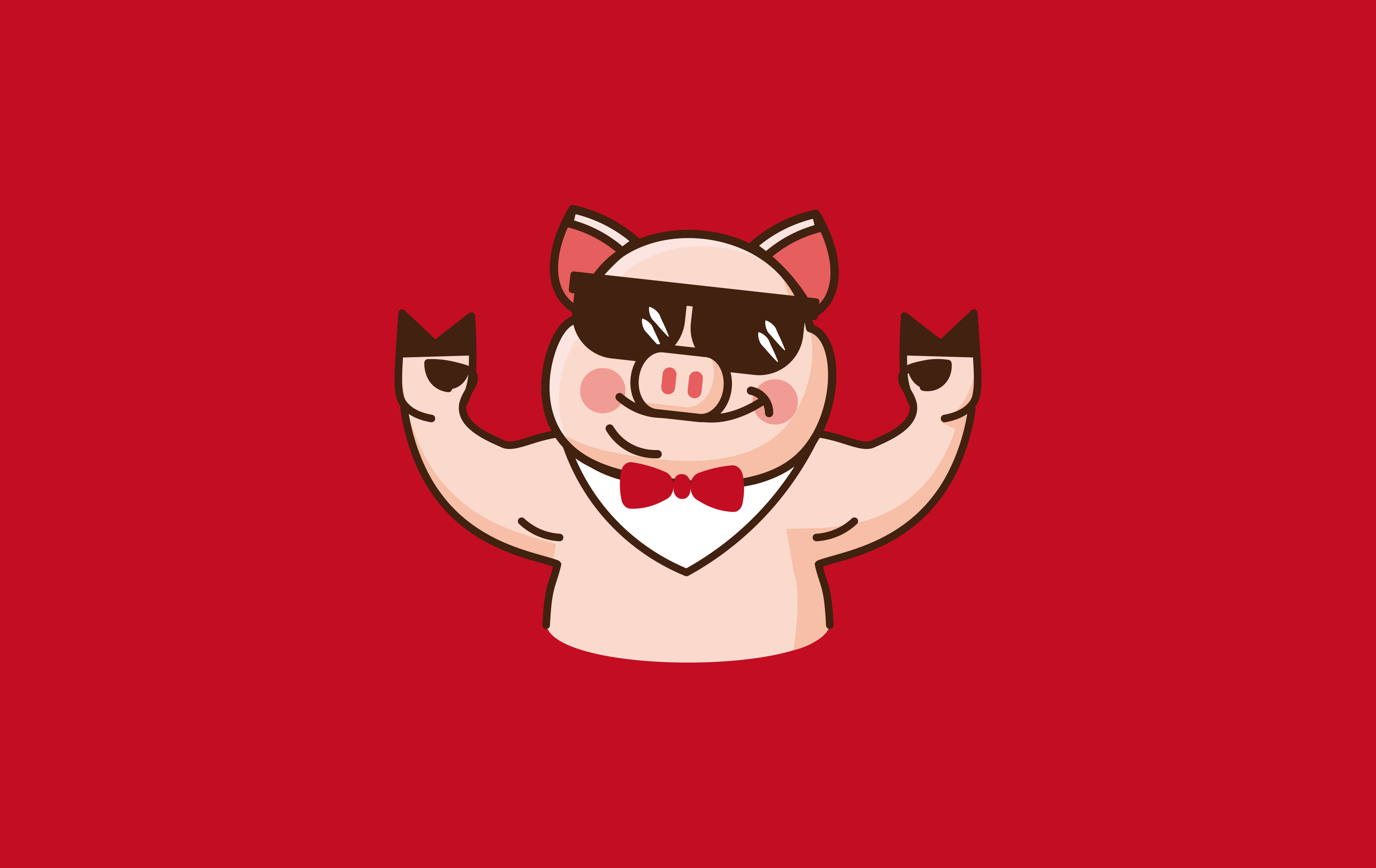 啃安逸-品牌整合策划与设计