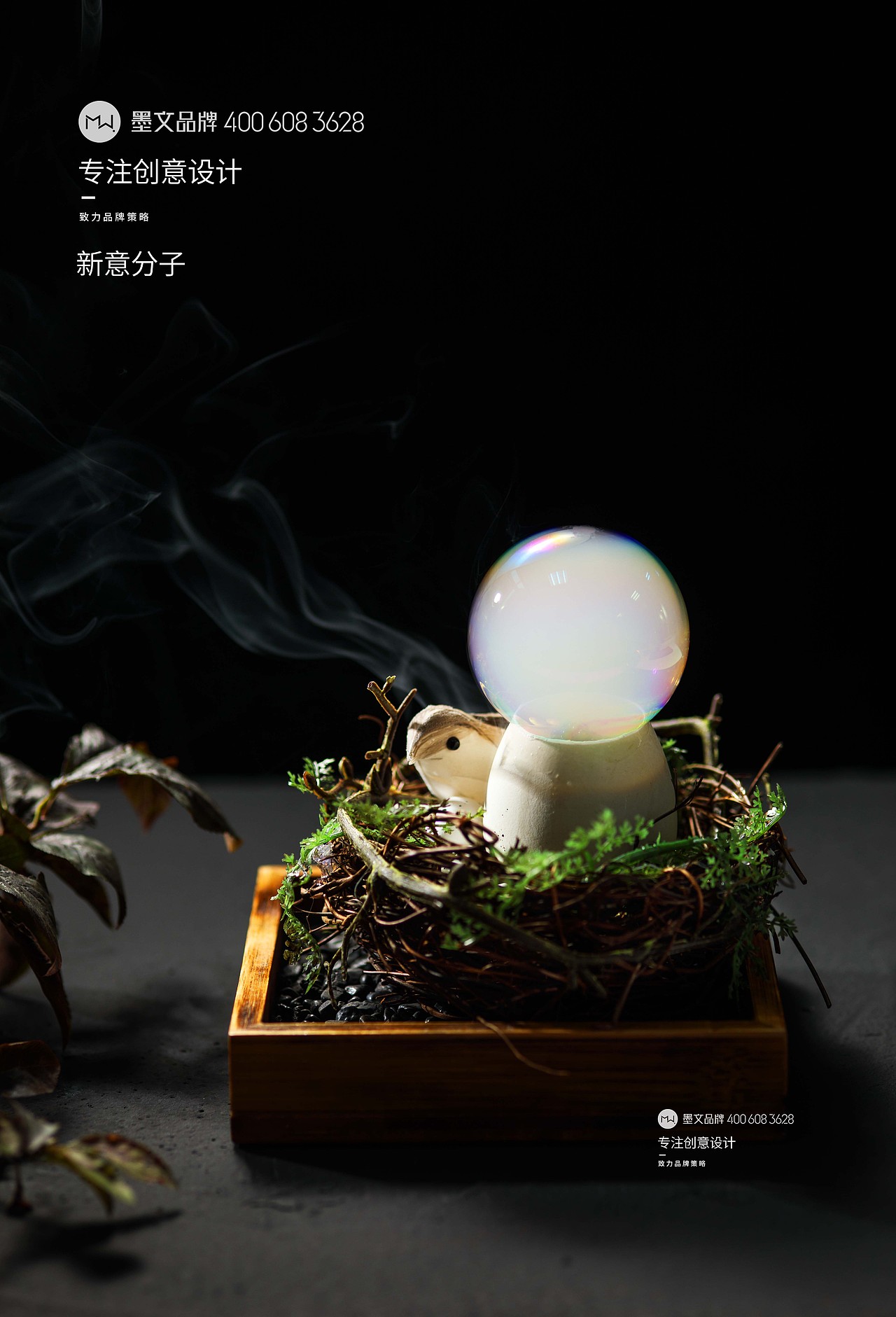 美食摄影分子料理