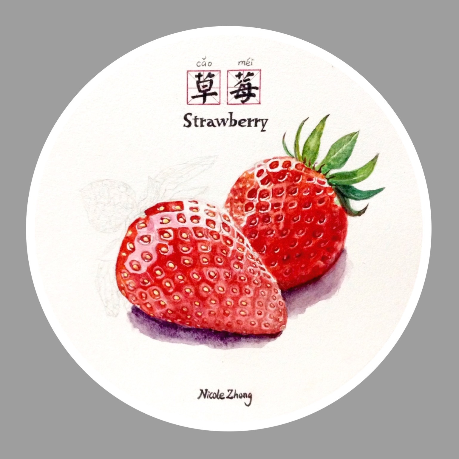 水果系列no.1草莓(附作画过程)