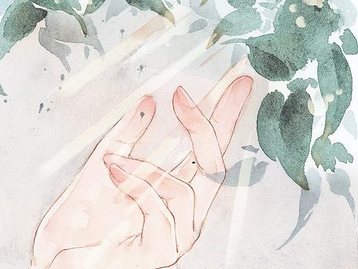 流思微光年    系列插画
