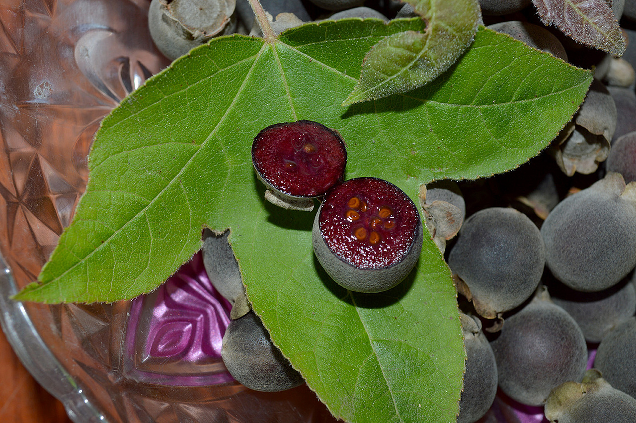 我的家乡摄影（图ZNjgyNTg0NTI=） - 风光摄影 - 站酷设计师酸溜溜的柠檬原创素材 - 站酷ZCOOL