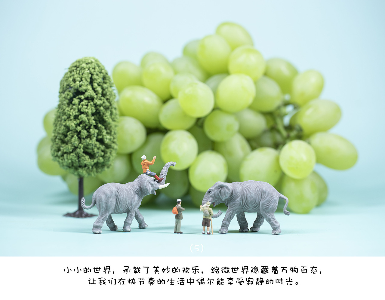 It turns out that grapes can also be like this?(图ZMjA5NzEyOTMy) - 产品摄影 - 站酷设计师极光摄影原创素材 - 站酷ZCOOL