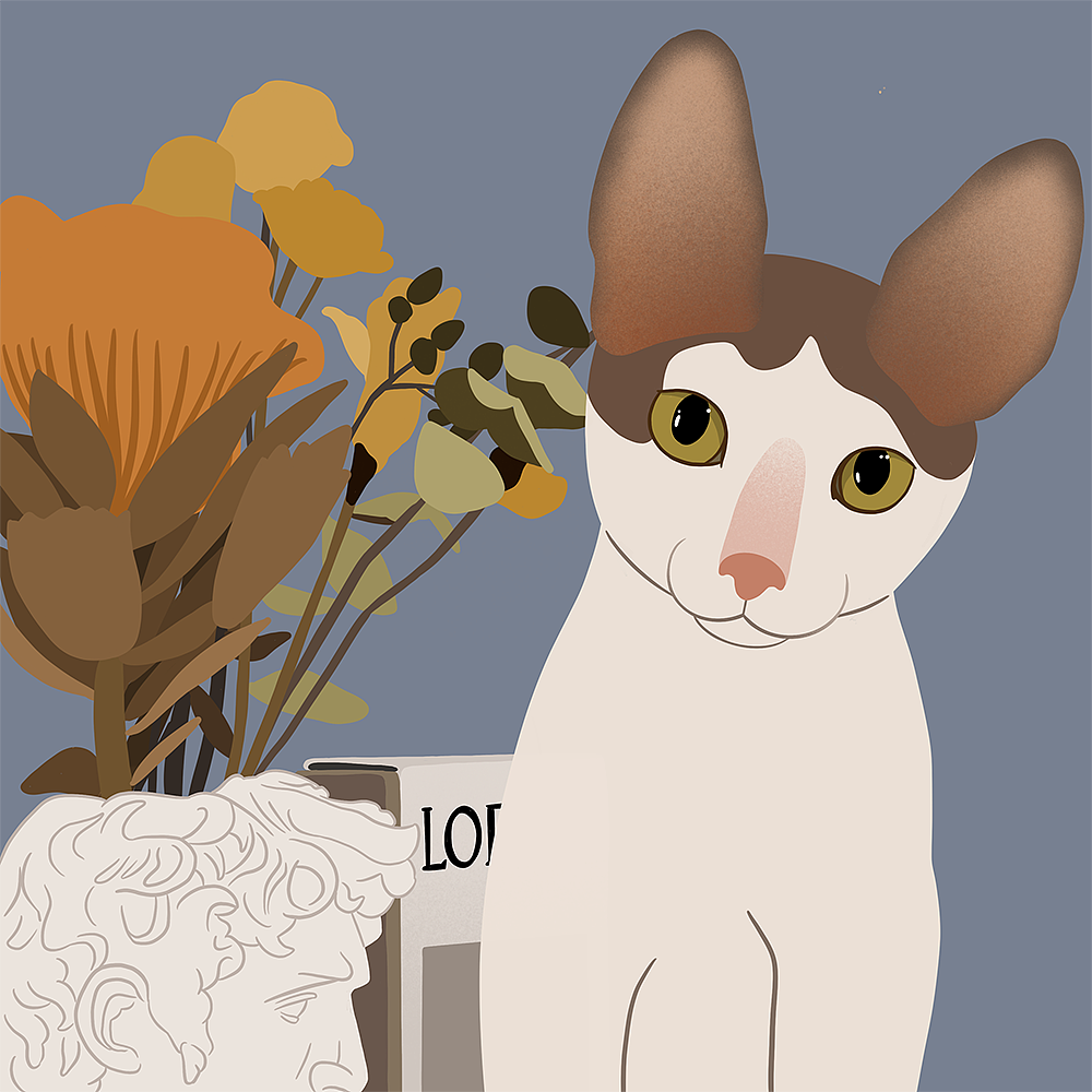 2021画的猫（图ZMjgzNTE4ODAw） - 艺术插画 - 站酷设计师童壮壮weiiew原创素材 - 站酷ZCOOL