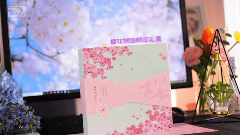 罗曼-T40电动牙刷