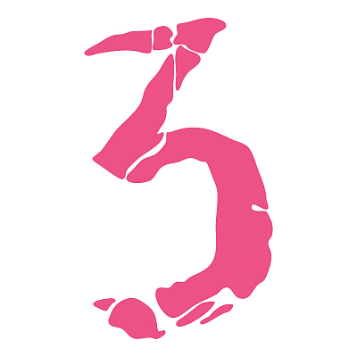 【系列】The Spiraling Tour 数字体