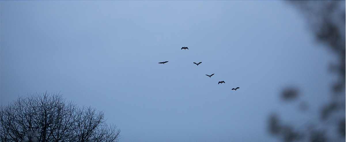 乐乐lelel的个人主页（封面预览） - 主页封面设置 - 站酷设计师乐乐lelel原创素材 - 站酷ZCOOL