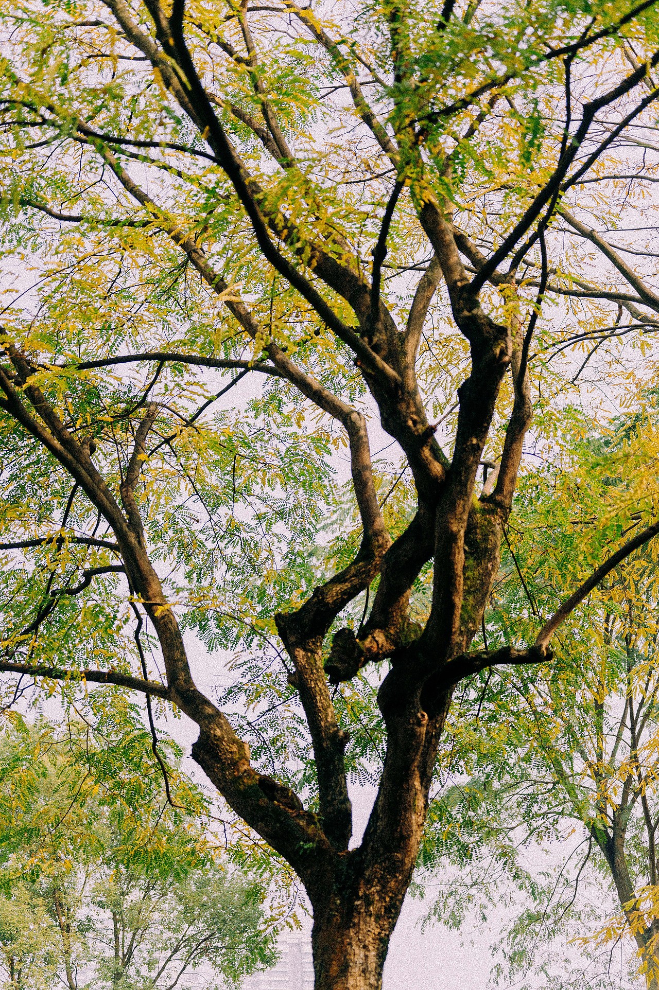 频繁记录着 因为生活值得（图ZMjgwNTE0NjYw） - 人像摄影 - 站酷设计师摄影师田由甲原创素材 - 站酷ZCOOL