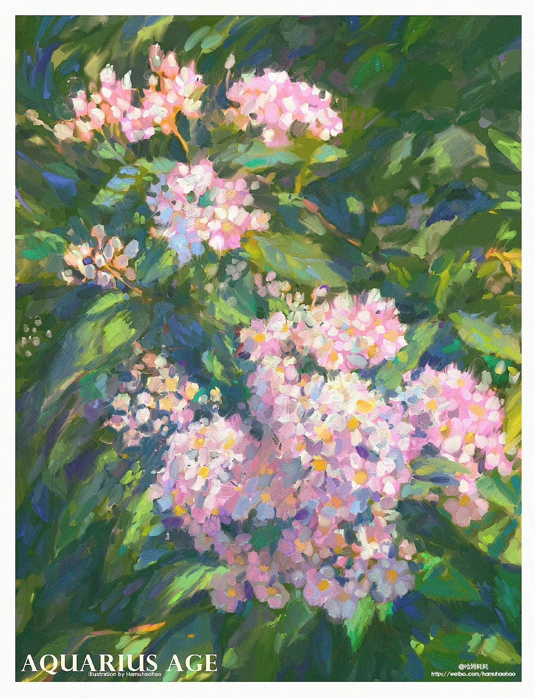 发一组油画风的花卉插画