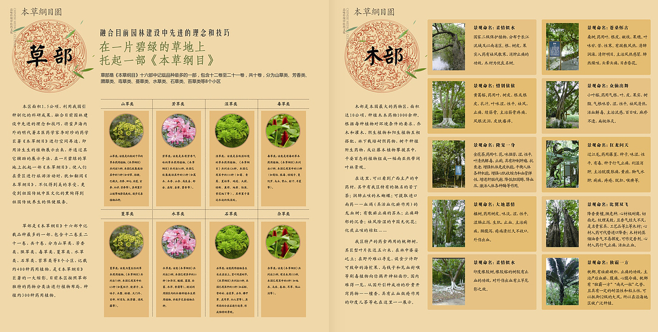 广西药用植物园画册设计-游药园-【南宁】（图ZODc0MjU3Mg==） - 其他平面 - 站酷设计师蔡辉辉_up原创素材 - 站酷ZCOOL