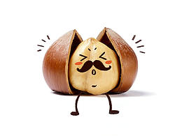 【公众号】活动/推文配图/手绘插画