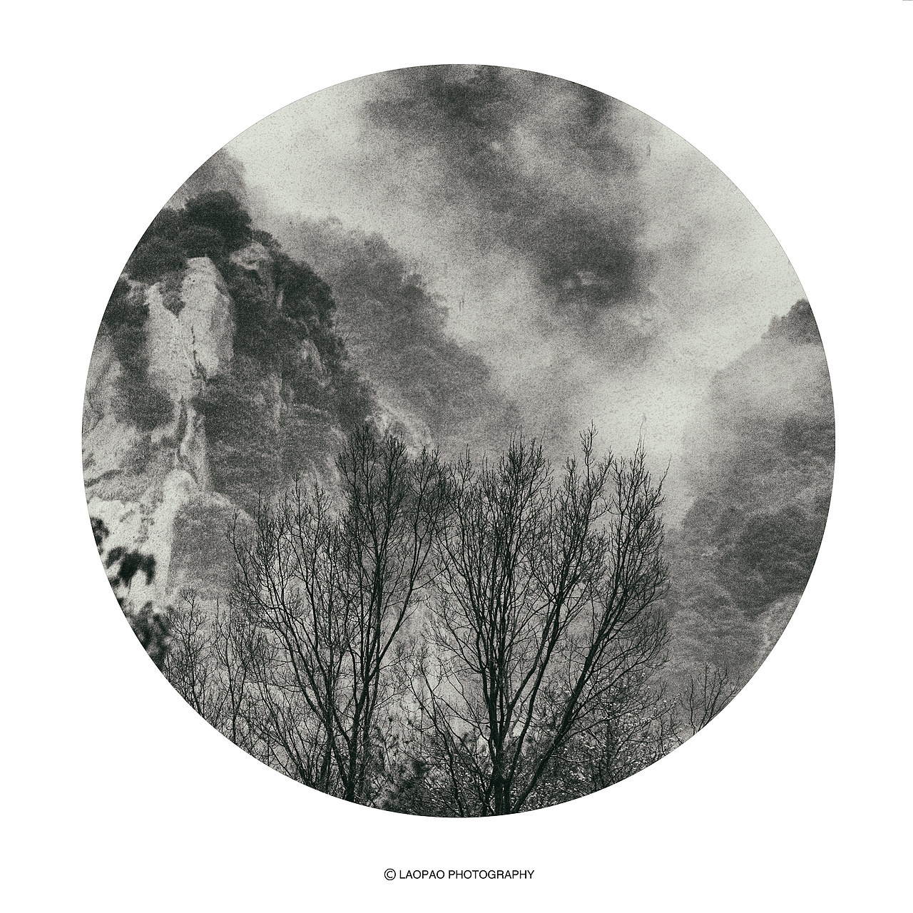 景，荷（图ZMjExNTk1MzYw） - 人文/纪实摄影 - 站酷设计师老炮叔叔原创素材 - 站酷ZCOOL