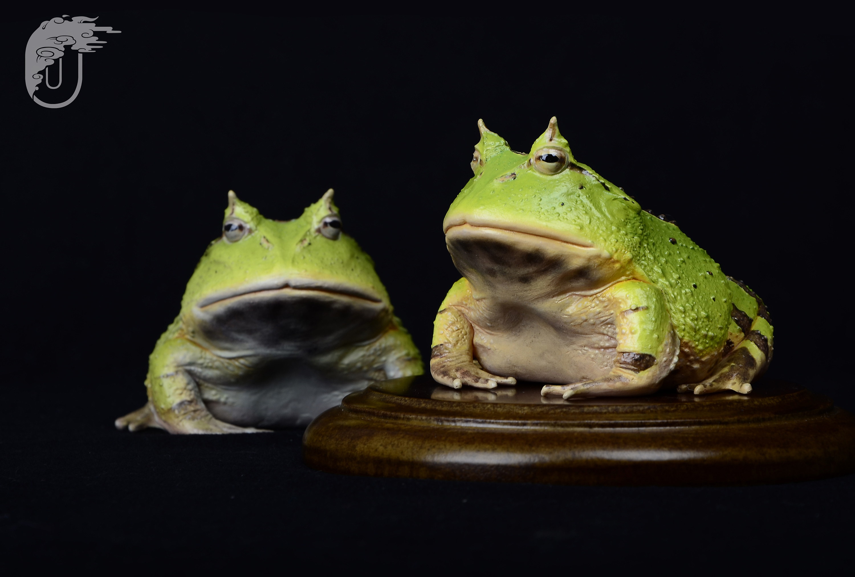 《蝴蝶角蛙》静态模型|手工艺|手办/模玩|池中 - 原创作品 - 站酷