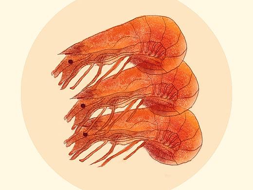 今晚刚吃的大虾（个人主页-ZMzMxNTQ0Mjg=） - 创作习作 - 站酷设计师神经饼ZYL原创素材 - 站酷ZCOOL