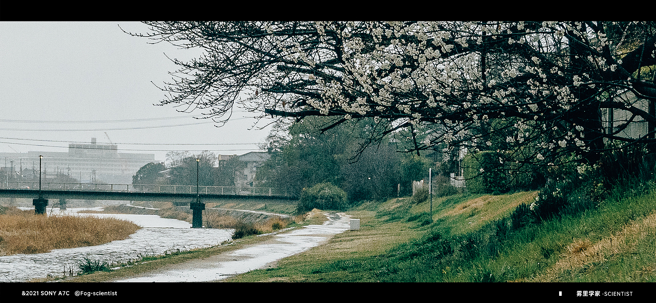 你好京都 | Photo | 雾里学家scientis | 14(图ZMjk0Mzc4MDIw) - 人文/纪实摄影 - 站酷设计师雾里学家scientis原创素材 - 站酷ZCOOL