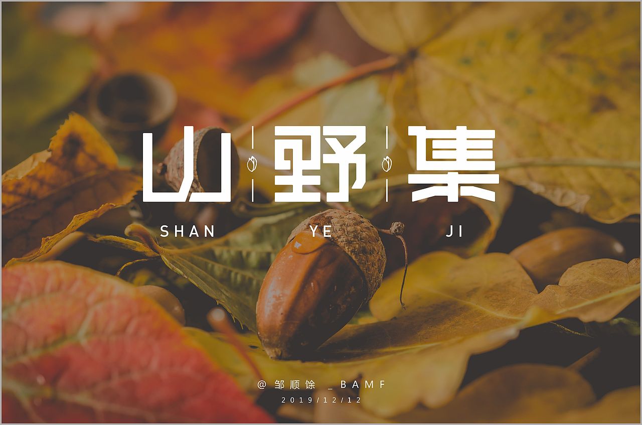 字体帮第1398篇（图ZMTg5MDkxMzY4） - 字体/字形 - 站酷设计师字体帮原创素材 - 站酷ZCOOL