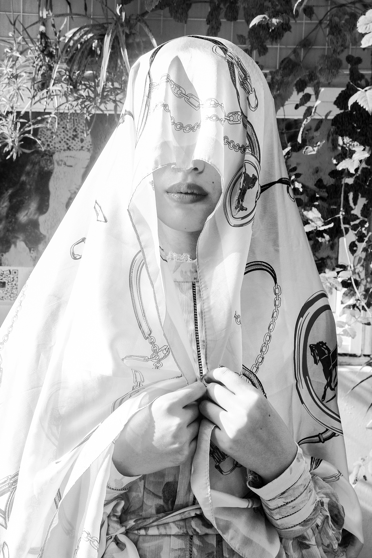 寻找都市《小王子》