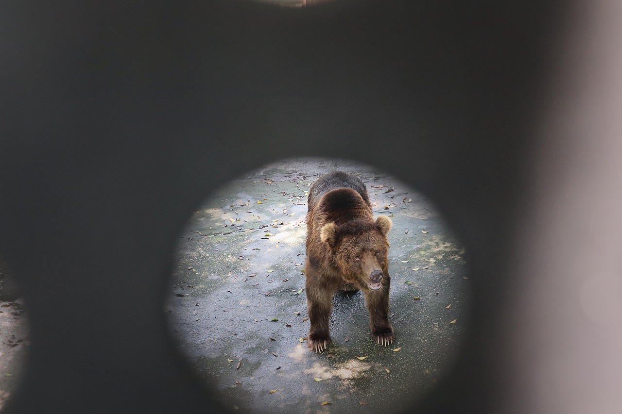 动物园里的他们