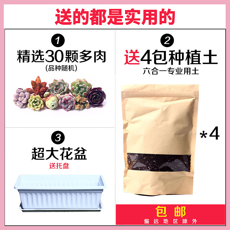 多肉主图（图ZMTgzMzkzMDQ4） - 电商 - 站酷设计师苍梧弥泥原创素材 - 站酷ZCOOL