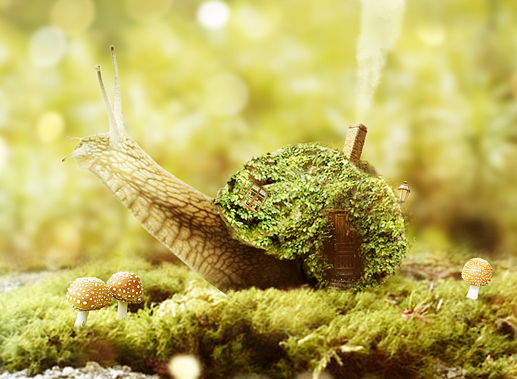 蜗牛房子（图ZODI2NDAxNzY=） - 海报 - 站酷设计师蓝荨原创素材 - 站酷ZCOOL