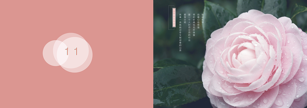 纪念（图ZMTI5MjE1MzY4） - 书籍/画册 - 站酷设计师三木C原创素材 - 站酷ZCOOL