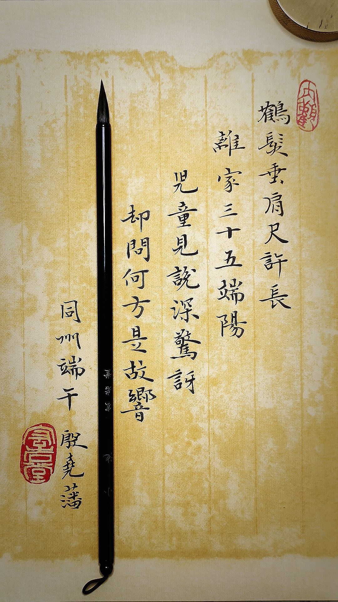 端午不要激动!!!