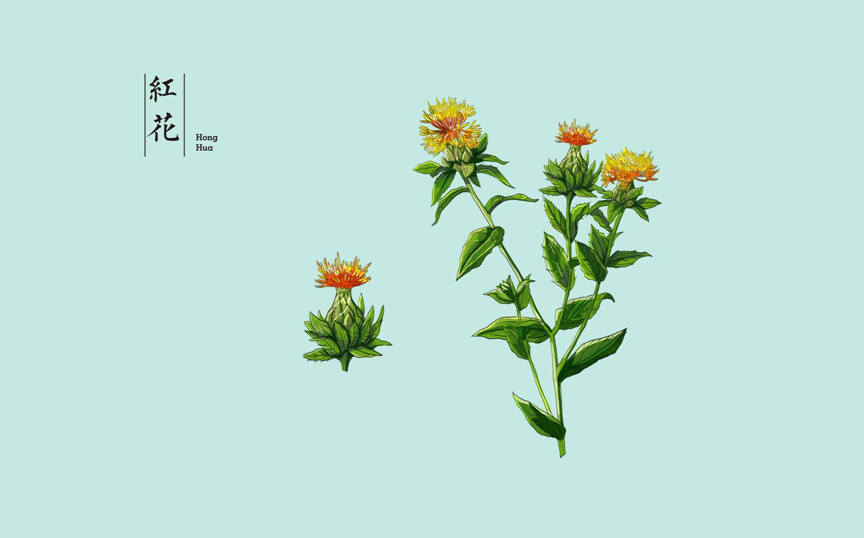 中药材包装设计提案稿(前十款)