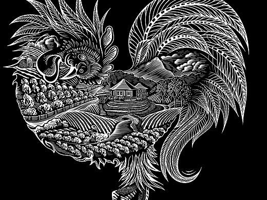 2000米高原红茶 插画