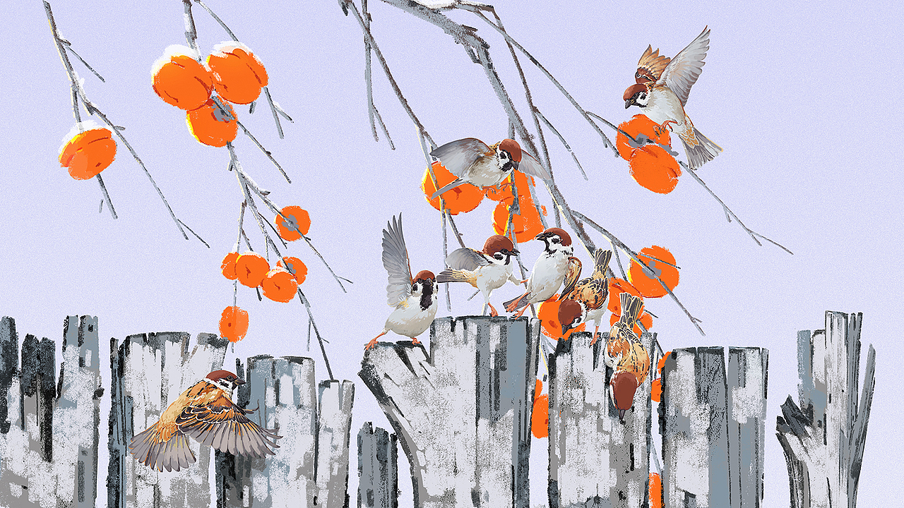 冬日 雀（图ZMjgyMjA5NDYw） - 商业插画 - 站酷设计师山嵬原创素材 - 站酷ZCOOL