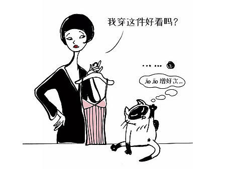 【老地方】猫男狗女