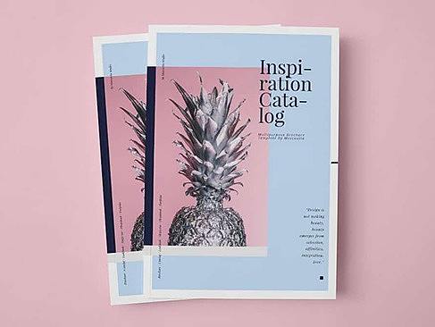 2019年最佳InDesign模板（适用于宣传册，传单，书籍等）