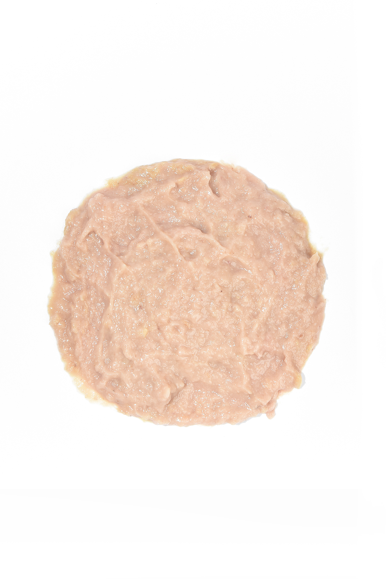 无尾猫条（图ZMjY0Mzc2OTgw） - 宠物摄影 - 站酷设计师独立摄影原创素材 - 站酷ZCOOL