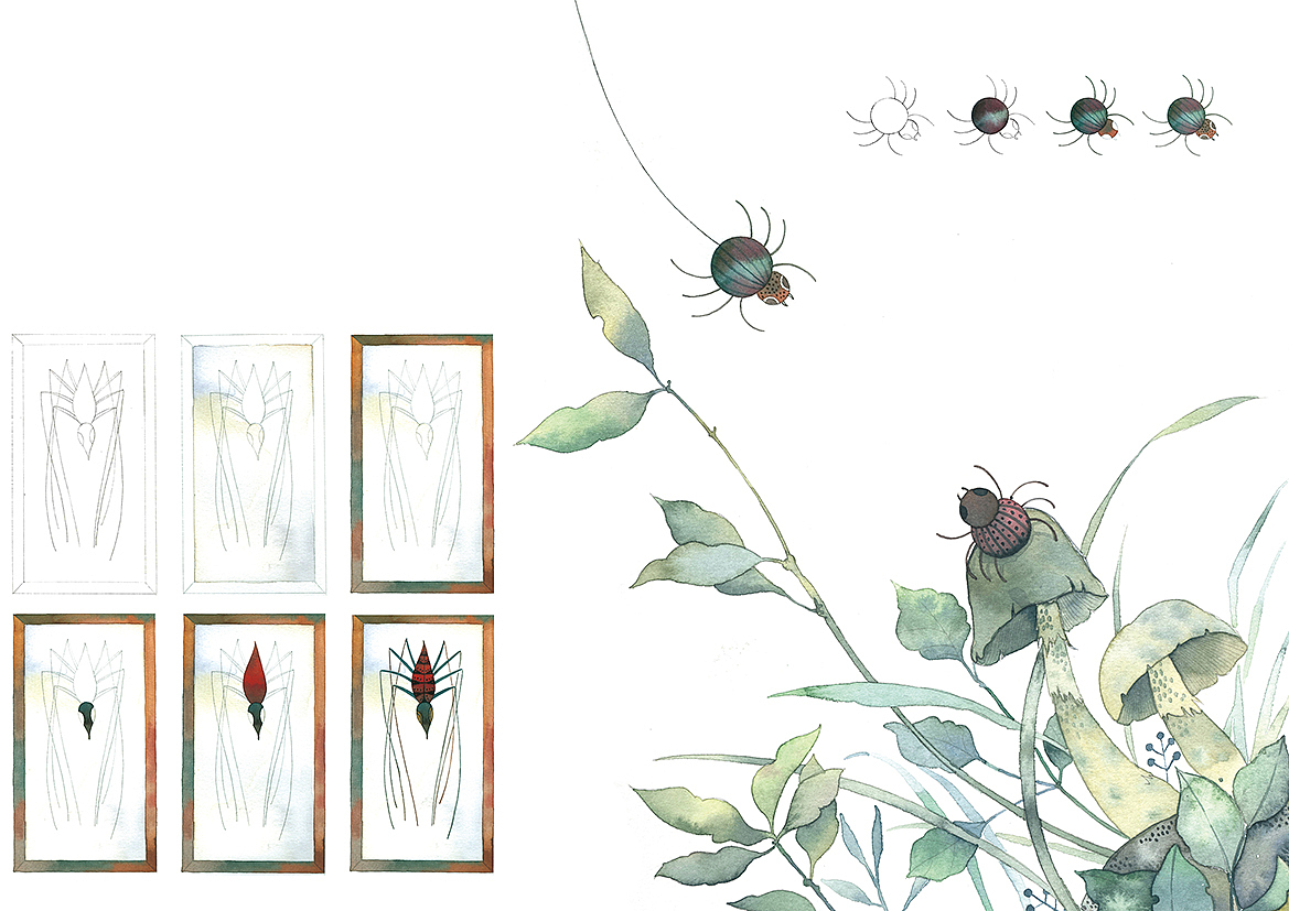 最新出版水彩教程书《昆虫记》（图ZMTEzODM4MDk2） - 商业插画 - 站酷设计师皮痞祖2016原创素材 - 站酷ZCOOL