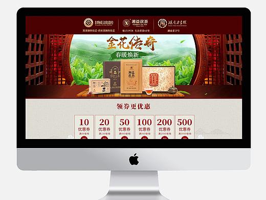 黑茶常规首页