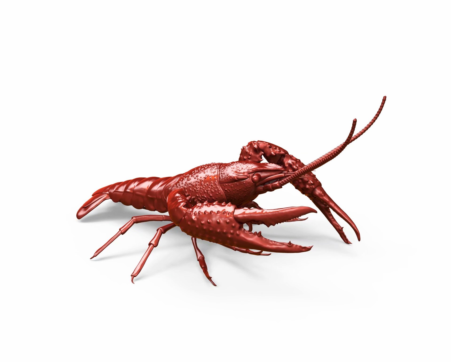 小龙虾gk模型作品