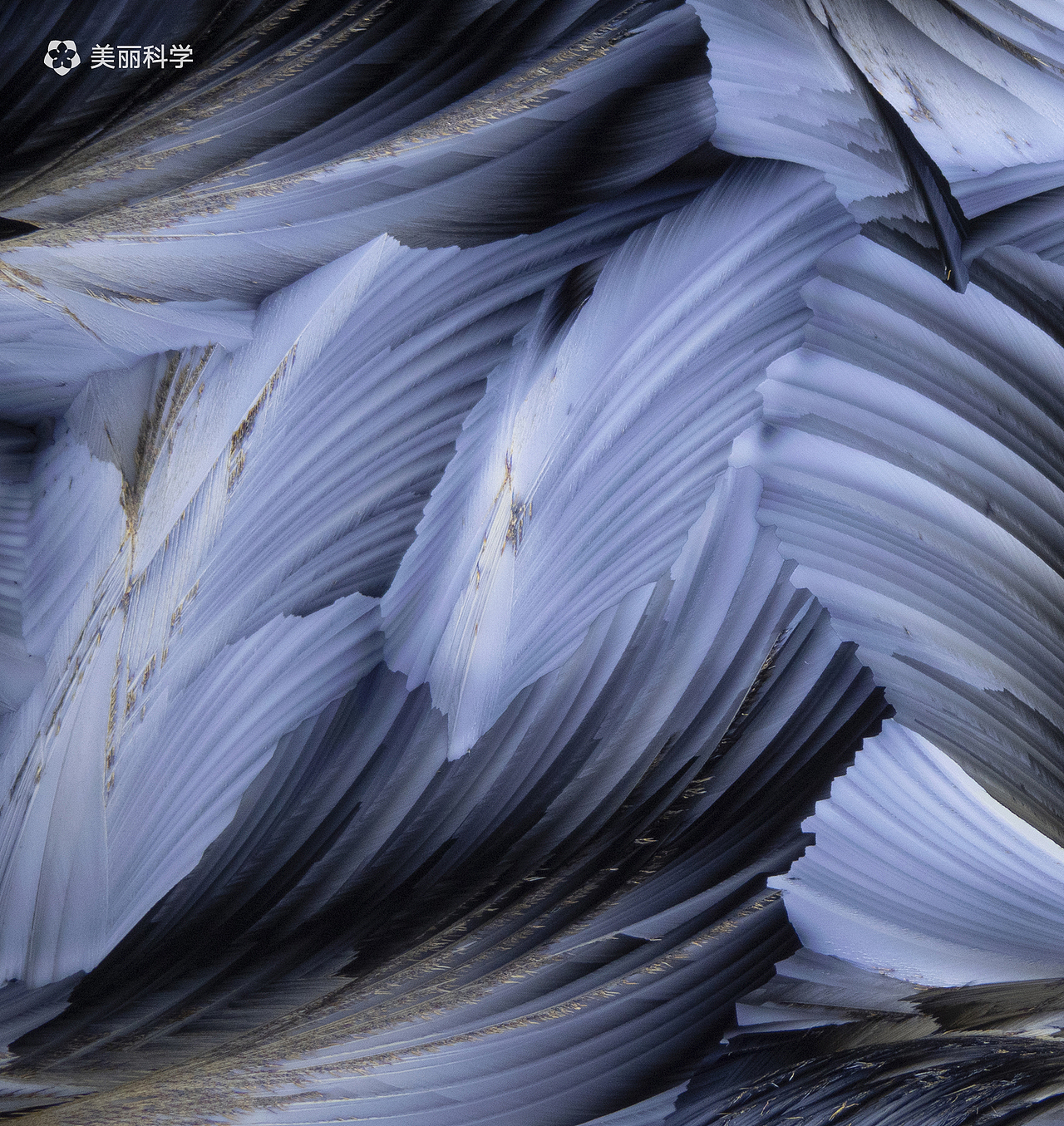 重现化学丨《凌》&《原》（图ZMjI5NjY3NDI0） - 其他摄影 - 站酷设计师美丽科学原创素材 - 站酷ZCOOL