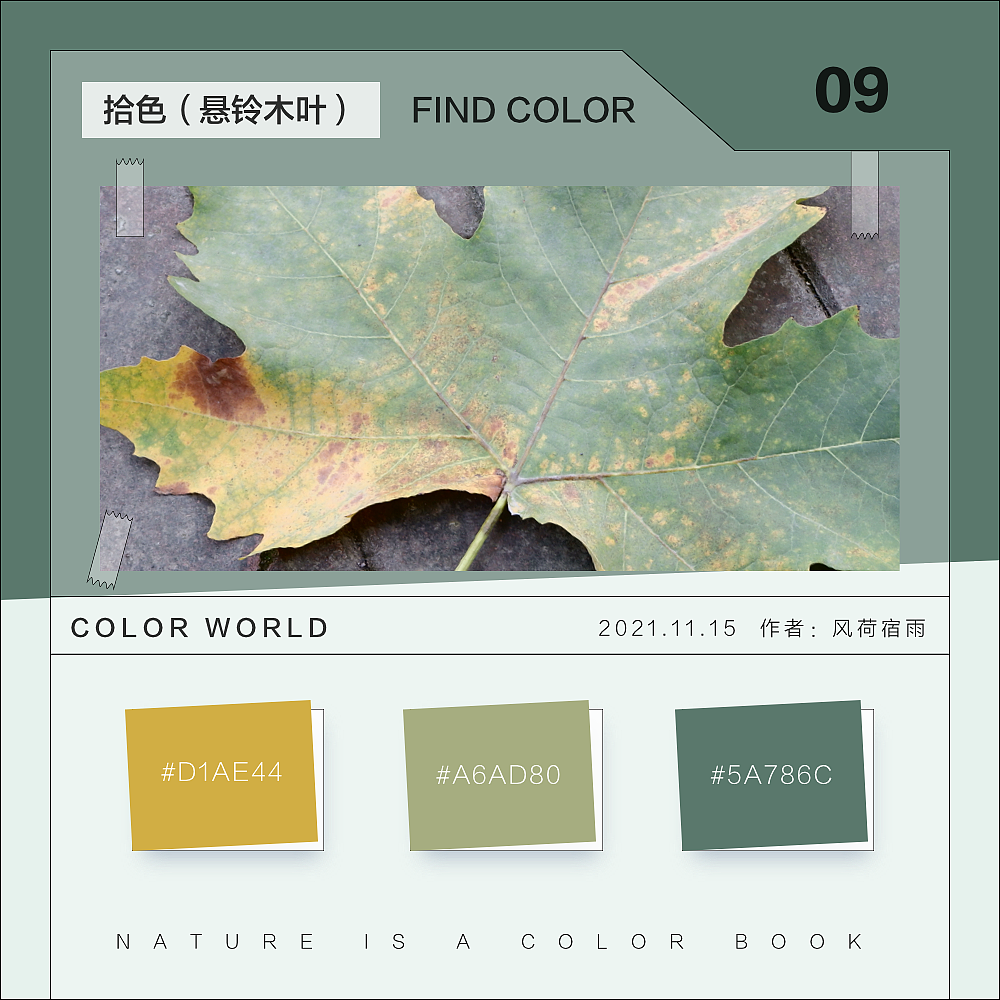 色彩（悬铃木）（图ZMjgyNzQ3MzQw） - 其他 - 站酷设计师风荷宿雨原创素材 - 站酷ZCOOL